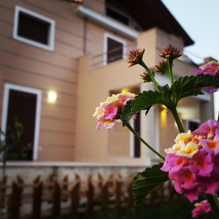 Villa Luna Kalamákion Exterior foto